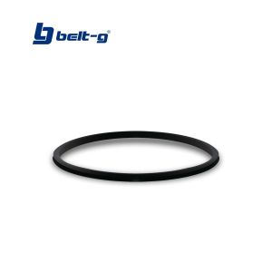 Empacadura original para filtro modelo B-2 Belt-g
