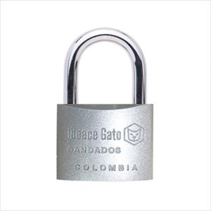 Candado estándar de hierro 50 mm Gato