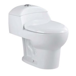 Inodoro una pieza Ronco blanco Aqua Nuova