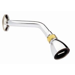 REGADERA EURO 45° 1/2" C/B FP