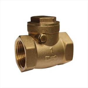 VALVULA SWING CHECK 1". WEQUP