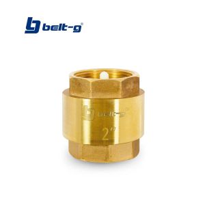 Válvula check estándar 2" Belt-g