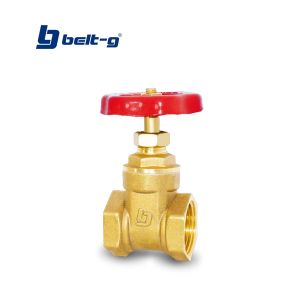 Llave de compuerta estándar 1" Belt-g