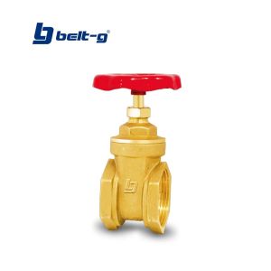 Llave de compuerta estándar 2" Belt-g