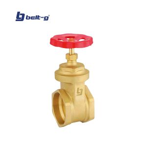 Llave de compuerta estándar 2 1/2" Belt-g